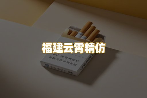 福建云霄精仿